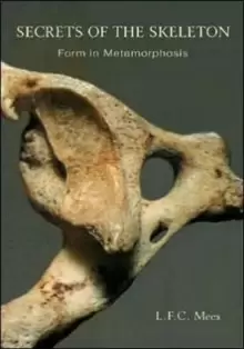 Image of Secrets of the Skeleton : Form in Metamorphosis
