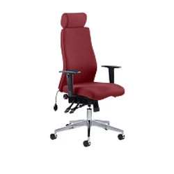 Image of Dynamic Independent Seat & Back Posture Chair Height Adjustable Arms Onyx Ergo Ginseng Chilli Seat With Headrest High Back