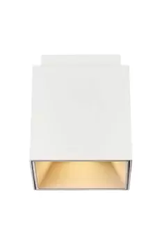Image of Ethan Surface Mounted Downlight Mat White GU10