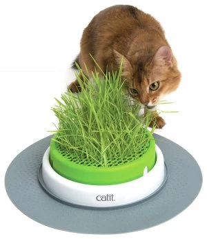 image of Catit Senses Grass Planter