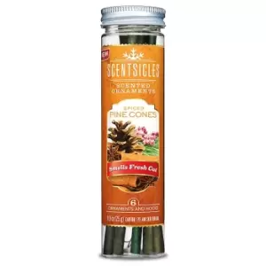 Image of Spiced Pine Cones Scentsicles - Christmas Tree Scented Sticks - Set of 6