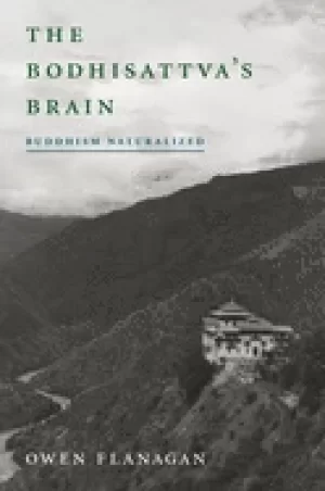 Image of bodhisattvas brain buddhism naturalized