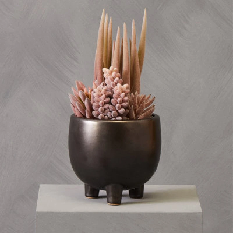 Image of Premier Housewares Fiori Mixed Succulents In Ceramic Pot Grey