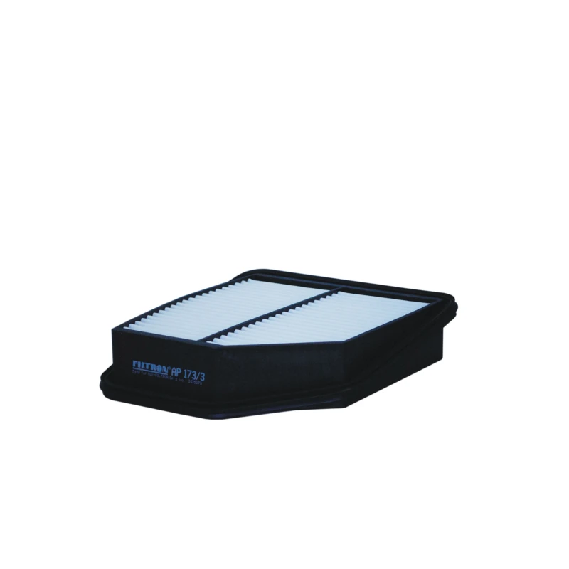 Image of FILTRON Air filter FILTRON AP 173/3