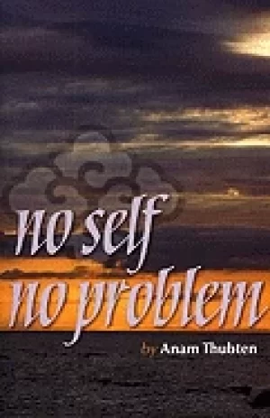 Image of no self no problem awakening to our true nature