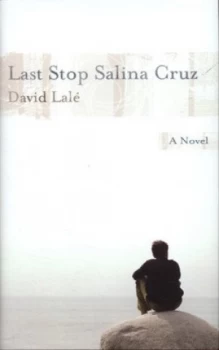 Image of Last Stop Salina Cruz by David Lal Hardback