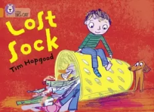 Image of Lost sock by Tim Hopgood