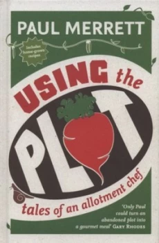 Image of Using the Plot by Paul Merrett Hardback