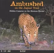 Image of ambushed on the jaguar trail