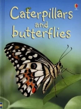 Image of Caterpillars and Butterflies by Stephanie Turnbull and Rosanne Guille and Uwe Mayer and Michael Crosse and Alison Kelly Hardback