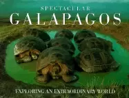 Image of spectacular galapagos