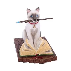 Image of Hocus Pocus (Lisa Parker) Cat Ornament
