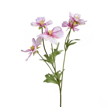 Image of Pink Blossom Flower