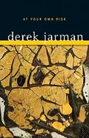 Image of at your own risk a saints testament jarman derek