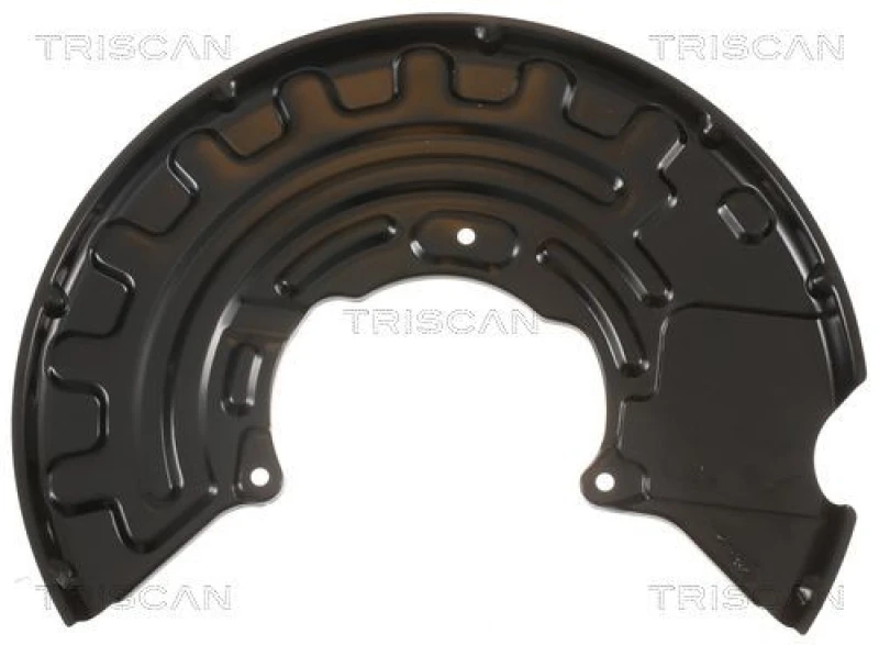 Image of TRISCAN Brake disc backing plate TRISCAN 8125 29129