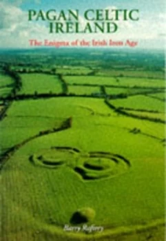 Image of Pagan Celtic Ireland by Barry Raftery Paperback