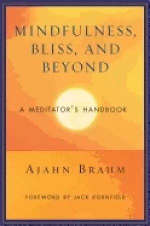 Image of mindfulness bliss and beyond a meditators handbook