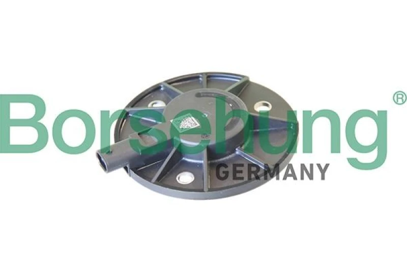 Image of Borsehung Camshaft adjuster magnet Borsehung B19124