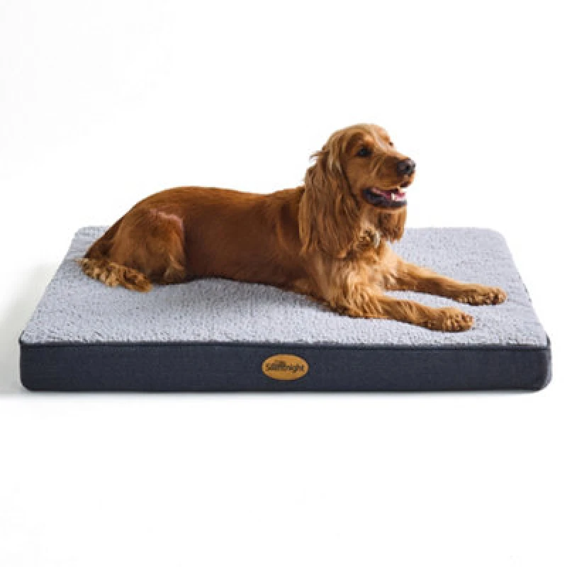 Image of Silentnight Firm Support Crate Mattress - Large - Large One Colour W2ZQ4 Unisex