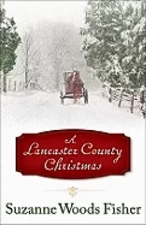 Image of lancaster county christmas
