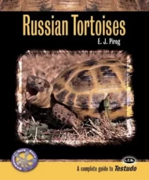 Image of Russian tortoises by E. J Pirog