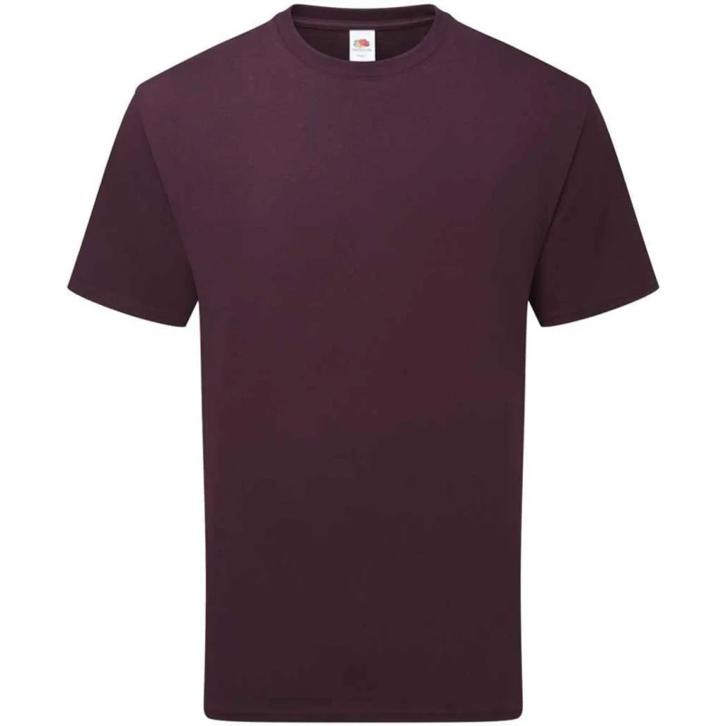 Image of Fruit of the Loom Mens Cotton T-Shirt in Purple Size: Large Purple Male L