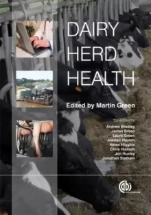 Image of Dairy Herd Health
