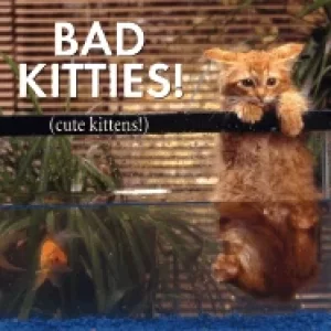 Image of bad kitties celebrating good times and bad behavior