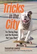 Image of tricks in the city for daring dogs and the humans that love them trick dog