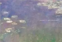 Image of Monet's Water Lilies : The Agapanthus Triptych
