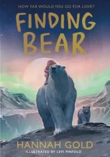 Image of Finding Bear
