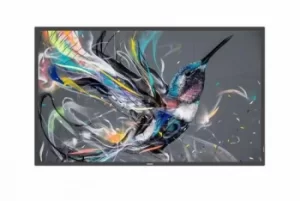 Image of Philips 55"