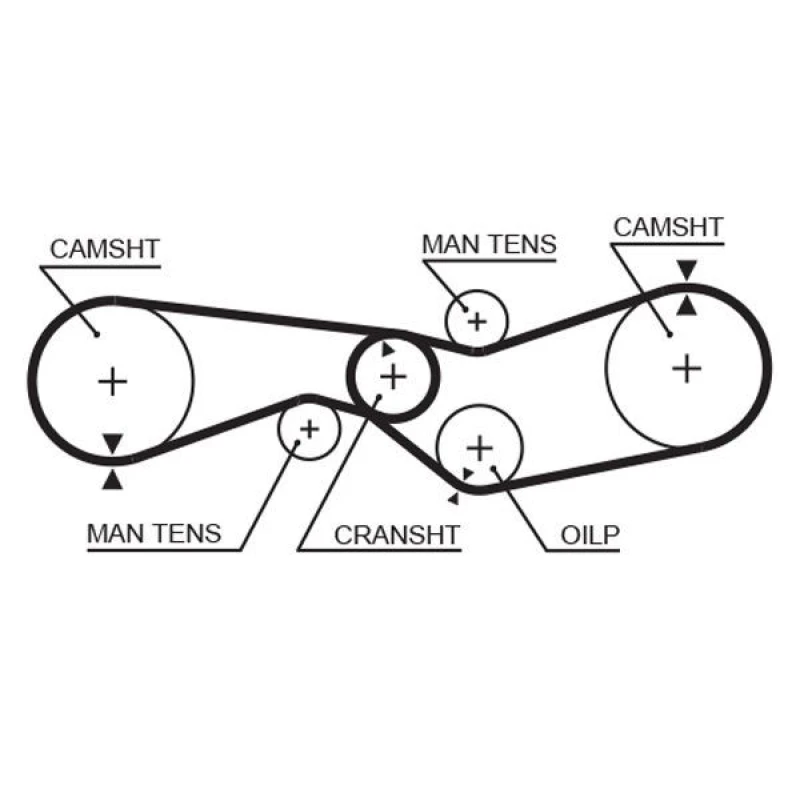 Image of GATES Timing Belt GATES 5009