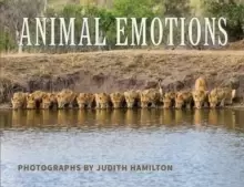 Image of Animal Emotions