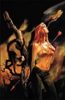 Image of Y the Last Man. Hardback
