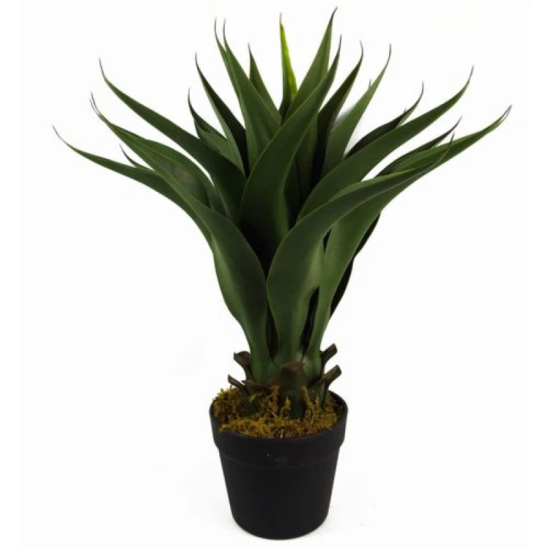 Image of Leaf Artificial Yukka Tropical House Plant Plastic Pot 55cm Faux House Plants Botanik Green