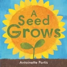 Image of A seed grows