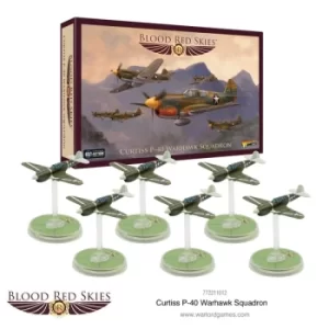 Image of Curtiss P-40 Warhawk squadron