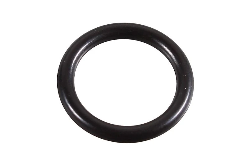 Image of Seal Ring METZGER 2430105