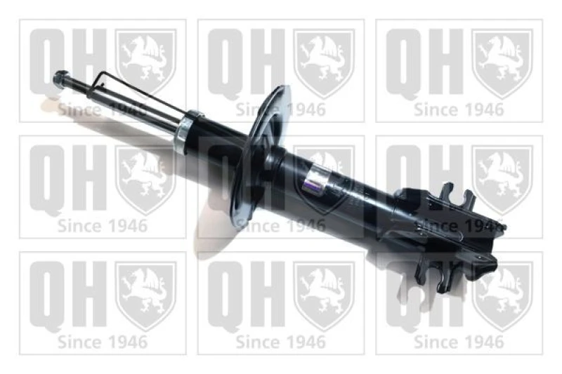 Image of QUINTON HAZELL Shock absorber QUINTON HAZELL QAG178734
