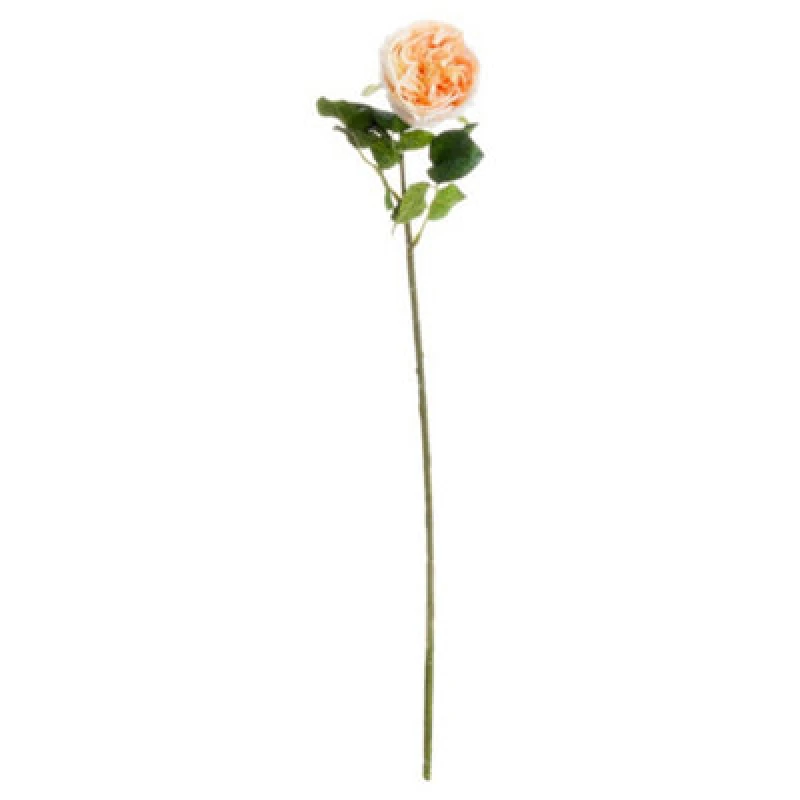 Image of Hill Interiors Artificial Single Stem Portland Rose Butter (One Size)