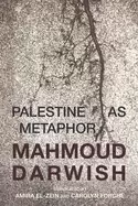 Image of palestine as metaphor
