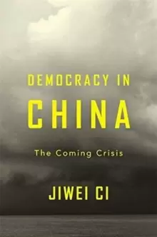 Image of Democracy in China : The Coming Crisis