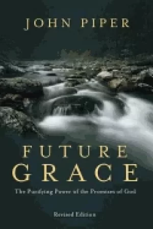 Image of future grace revised edition the purifying power of the promises of god