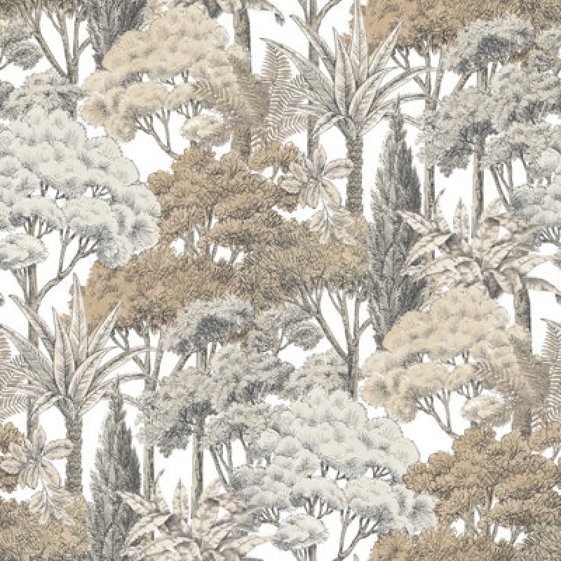 Image of Grandeco Botanical Sketched Forest Trees Textured Wallpaper, Neutral