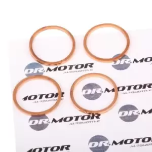Image of DR.MOTOR AUTOMOTIVE Heat Shield, injection system DRM063S FIAT,PEUGEOT,CITROEN,Scudo Kastenwagen (220_),Scudo Kombi (220_)