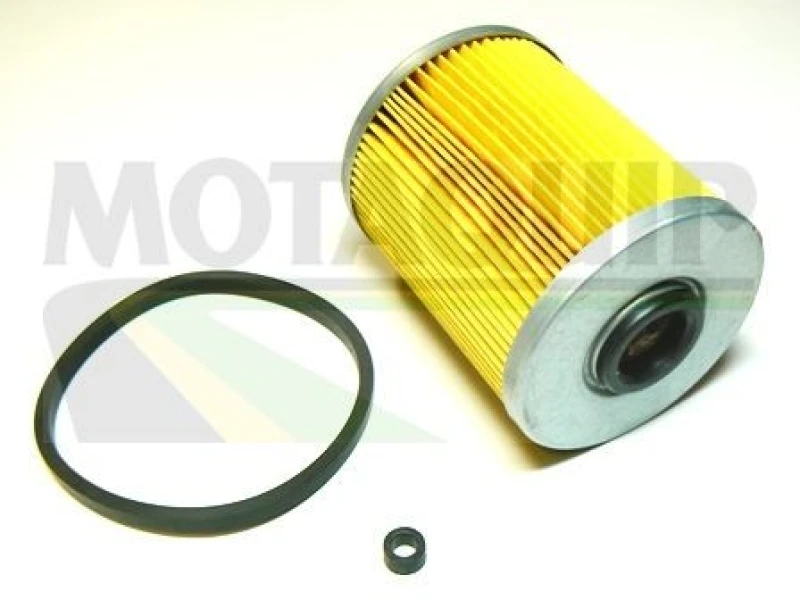 Image of MOTAQUIP Fuel filter MOTAQUIP VFF509