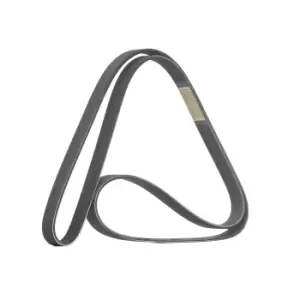Image of RIDEX V-ribbed belt 305P0506 Serpentine belt,Auxiliary belt HYUNDAI,KIA,MITSUBISHI,TUCSON (JM),SANTA FE II (CM),SANTA FE I (SM),SONATA V (NF)