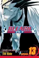 Image of bleach vol 13