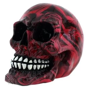 image of Romance Pack Of 6 Skull